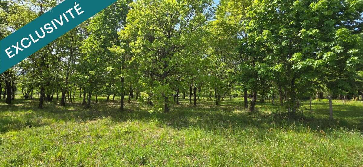 Photo 4 - Terrain à YZEURES-SUR-CREUSE