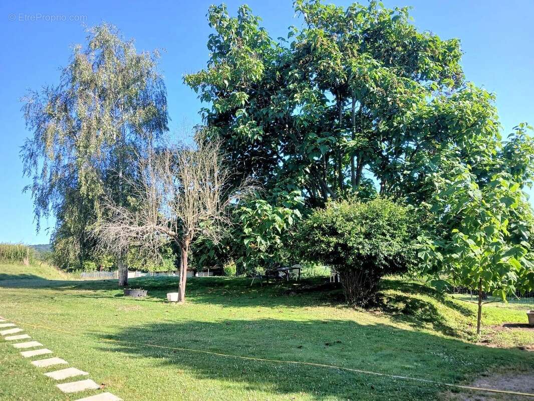 Maison à VIC-EN-BIGORRE