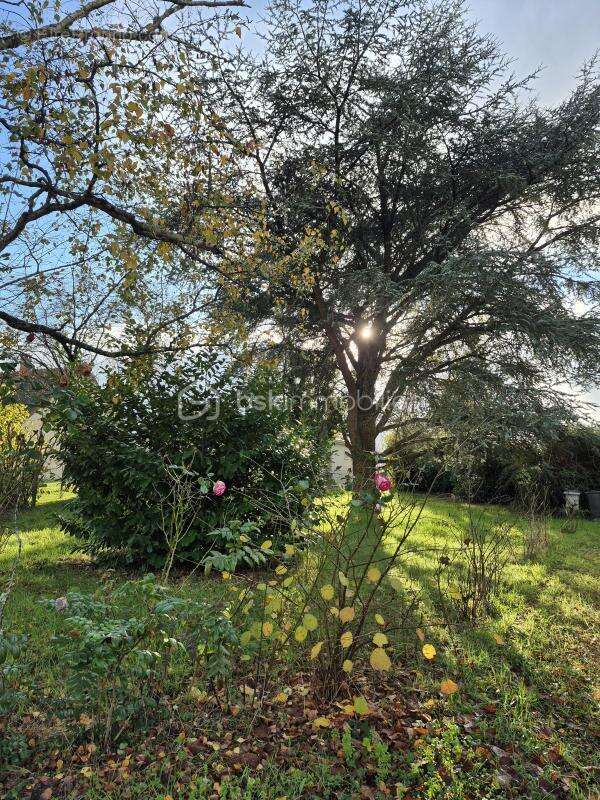 Maison à SAINT-BENOIT-SUR-LOIRE