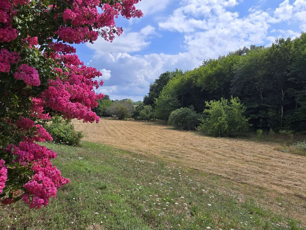 Maison à LAVEYSSIERE