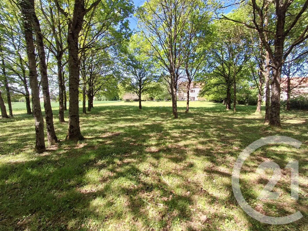 Maison 206 m² à Etais-La-Sauvin  - photo 20