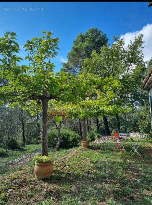 Villa provençale sur plus de 7 000 m² de terrain - photo 22