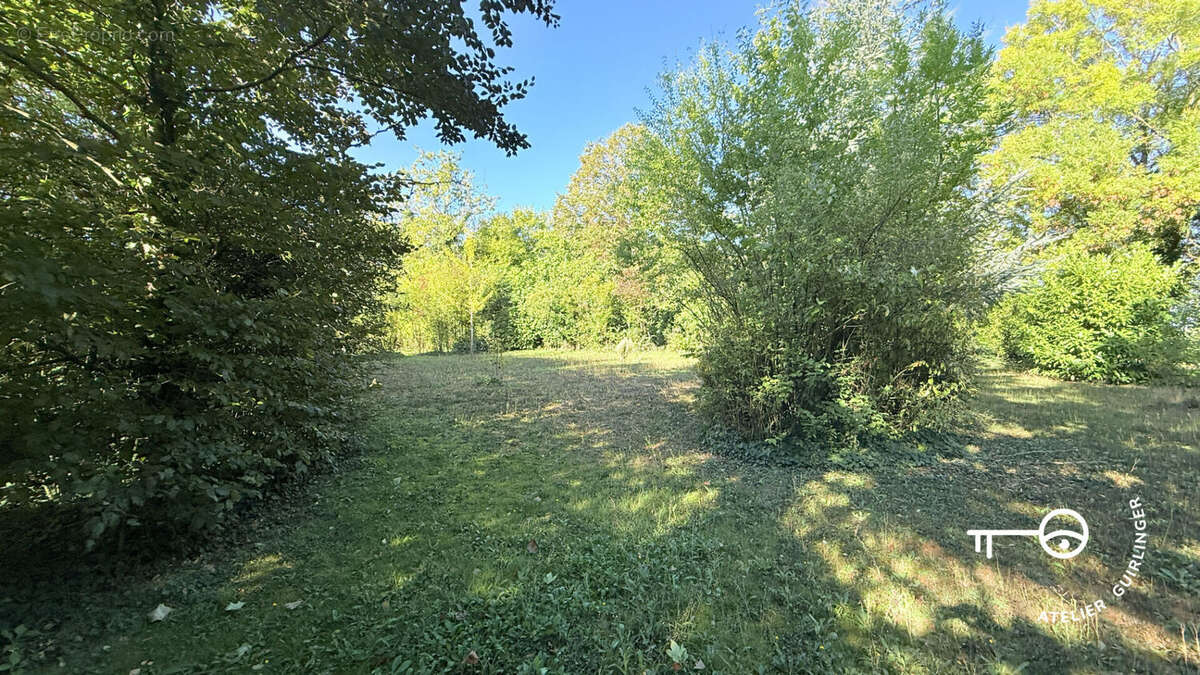 Terrain à OUZOUER-LE-MARCHE