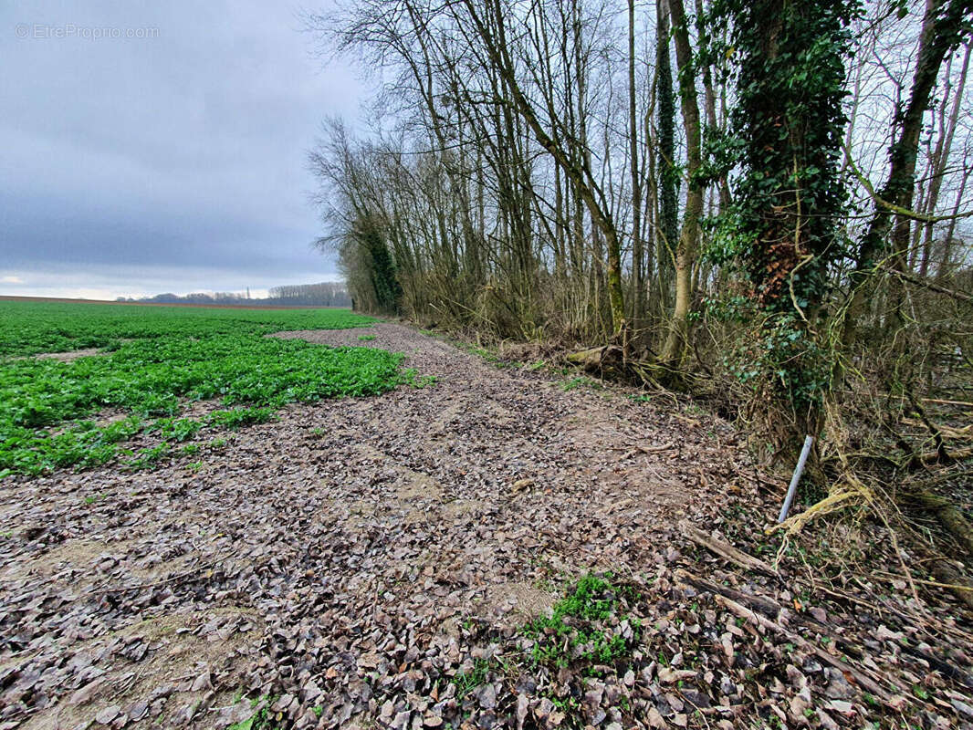 Terrain à SAINT-QUENTIN