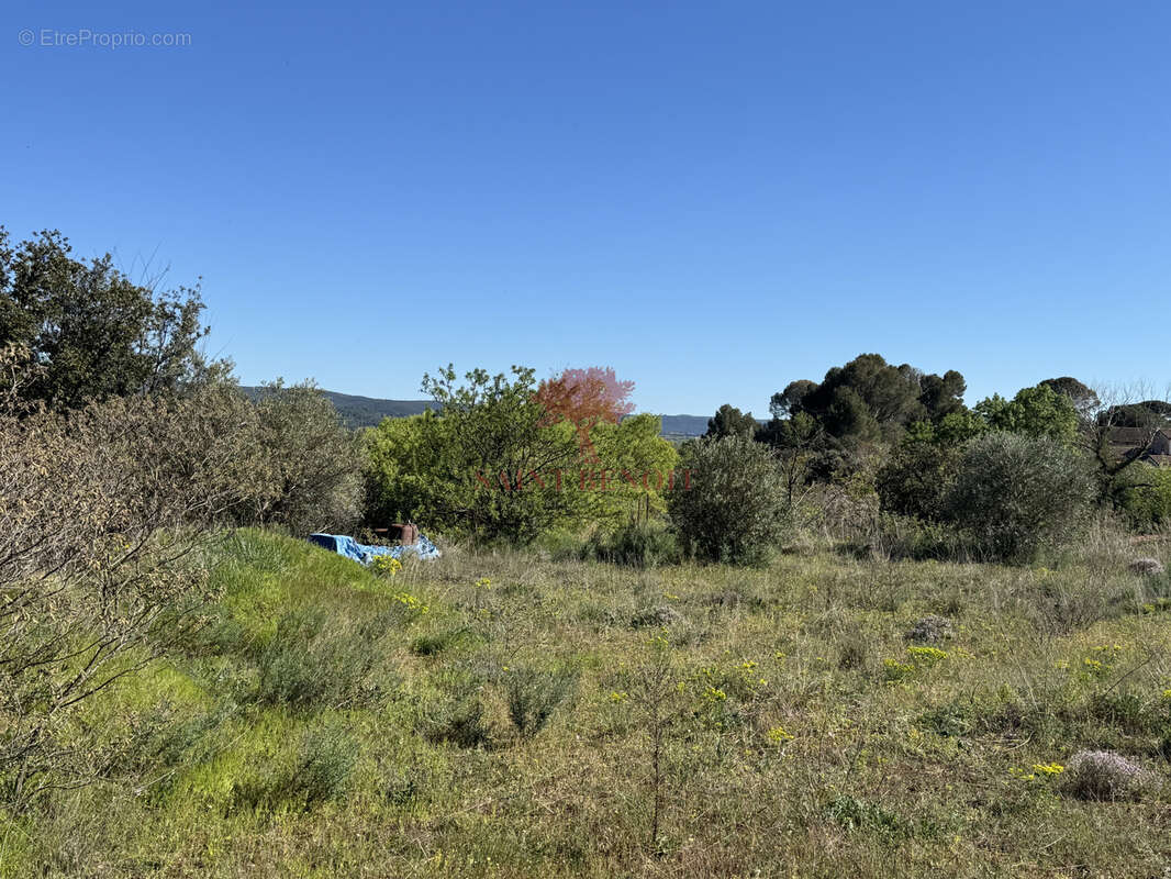 Terrain à SAINT-JEAN-DE-FOS
