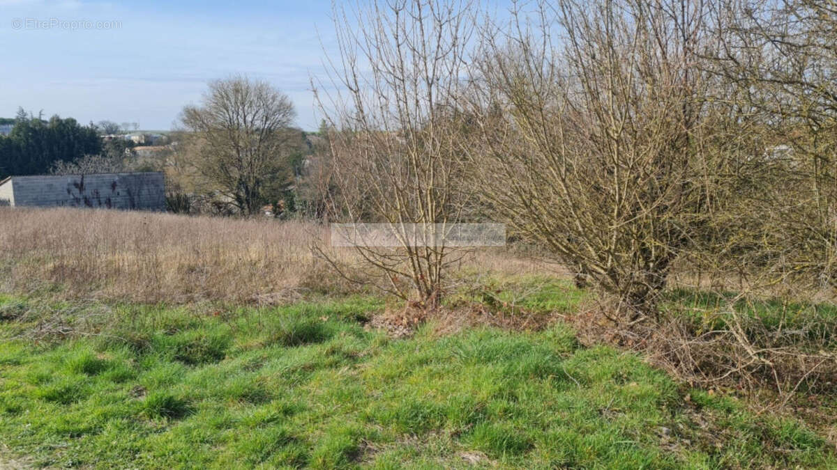 Terrain constructible Douzat 3000 m2 - photo 2