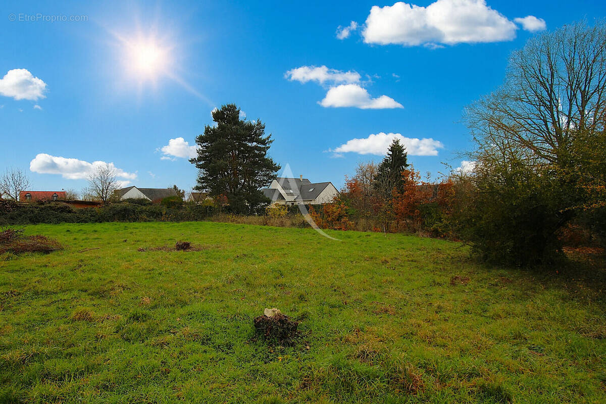 Terrain à CHAILLES