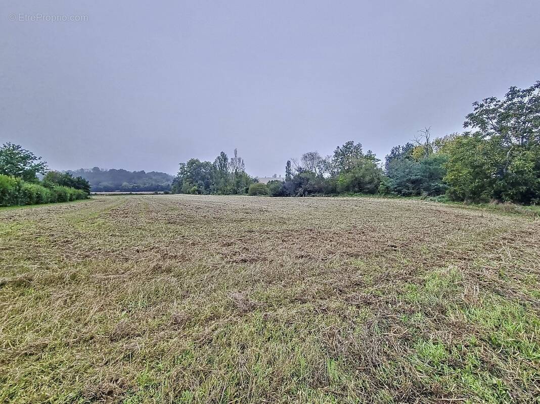 Terrain à VIEILLEVIGNE