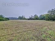 Terrain à VIEILLEVIGNE