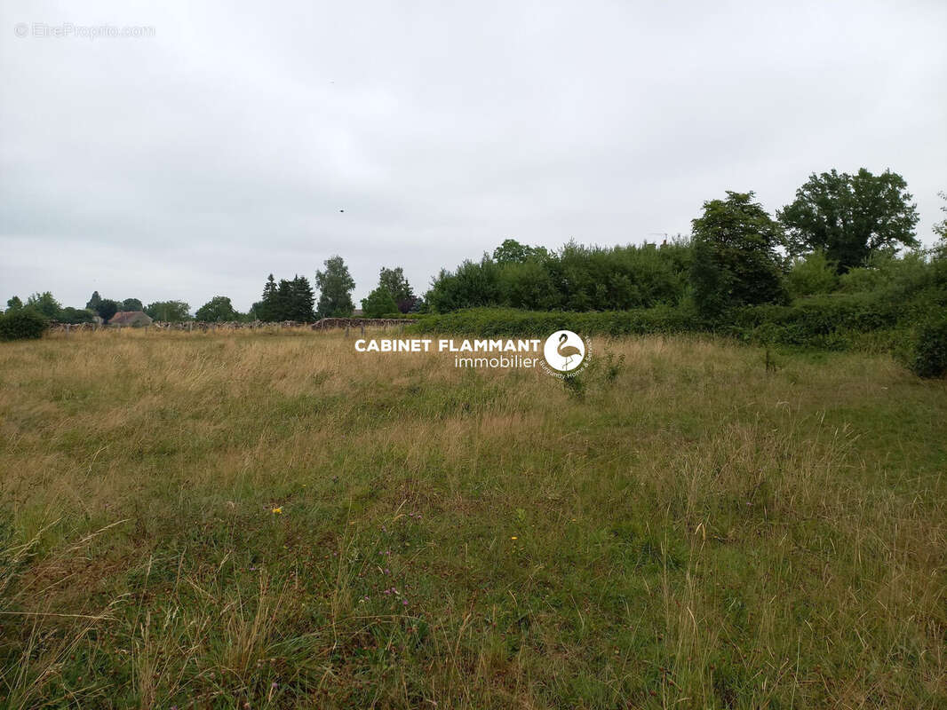 Terrain 3048 m² à Semur-En-Auxois  - photo 5