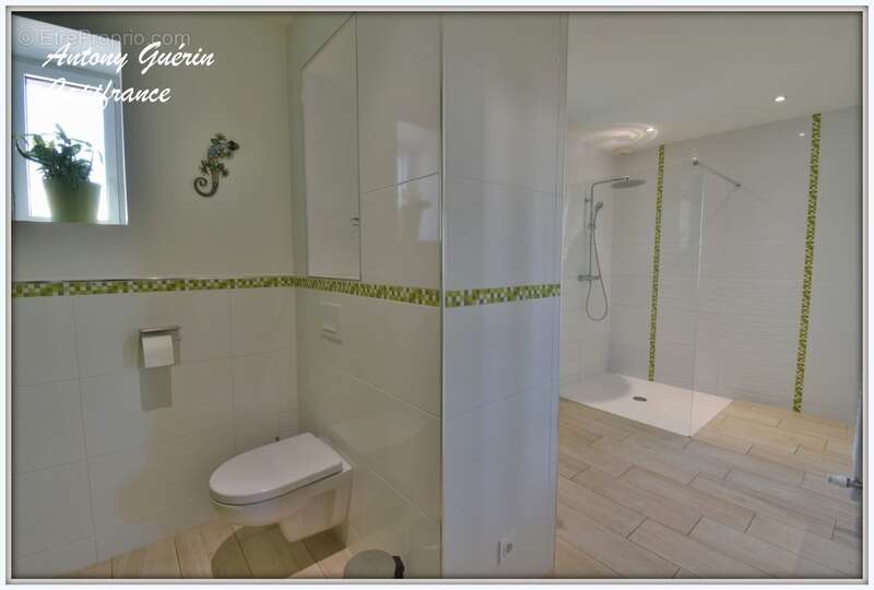 Grange rénovée de caractère avec dépendance 9 pièces-252 m² Habitable-MESNARD LA BAROTIERE - photo 6