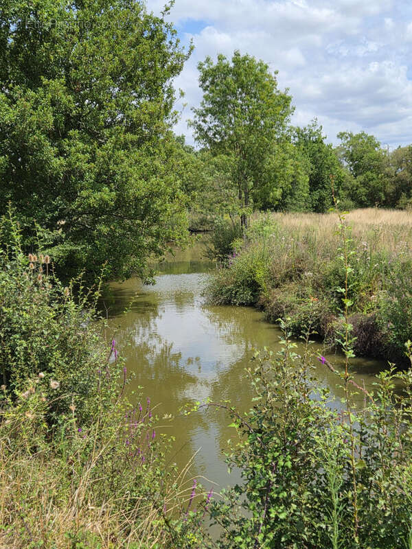 Givrand à 5mn des plages et des centres villes, terrain de loisir longeant la rivière avec étang - photo 6