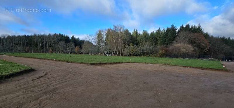 Terrain à LE PALAIS-SUR-VIENNE