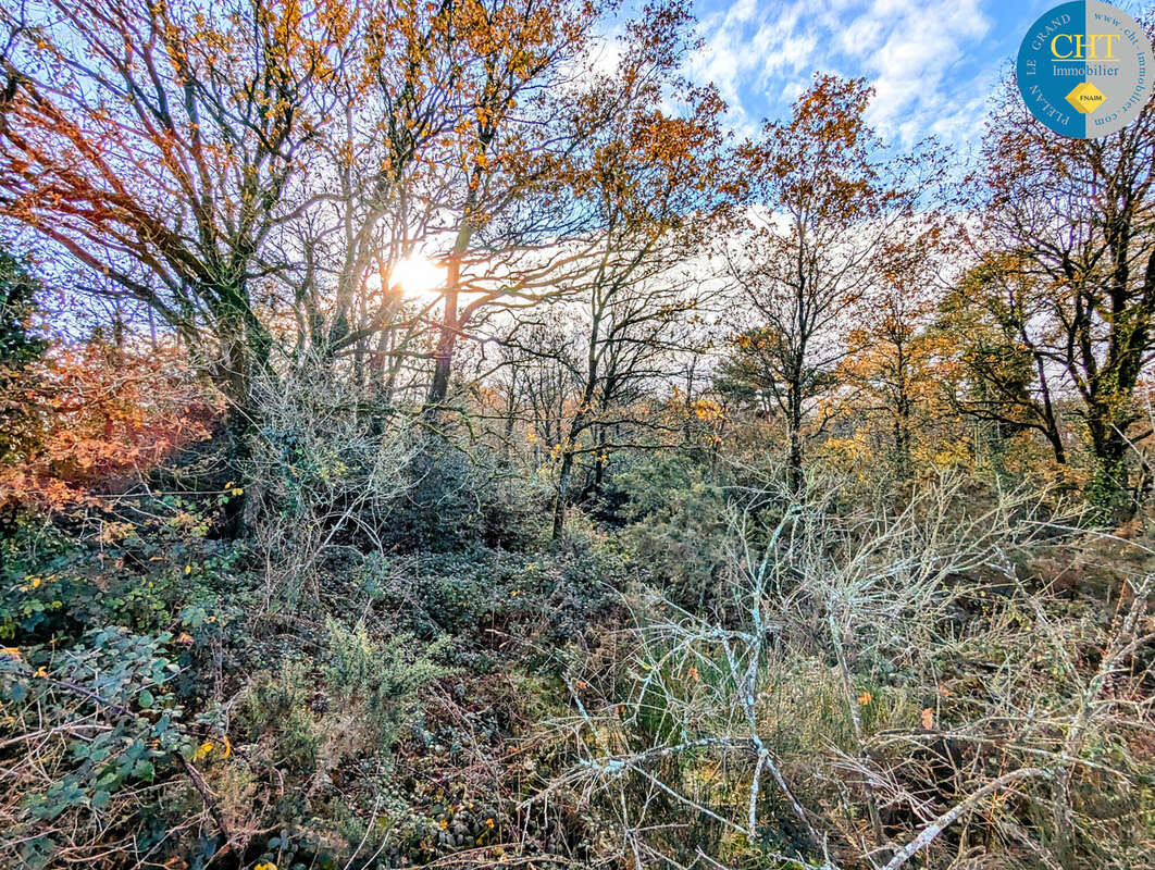 Terrain boisé / parcelle de loisirs   campagne de monteneuf (56380) avec cht immobilier - photo 5
