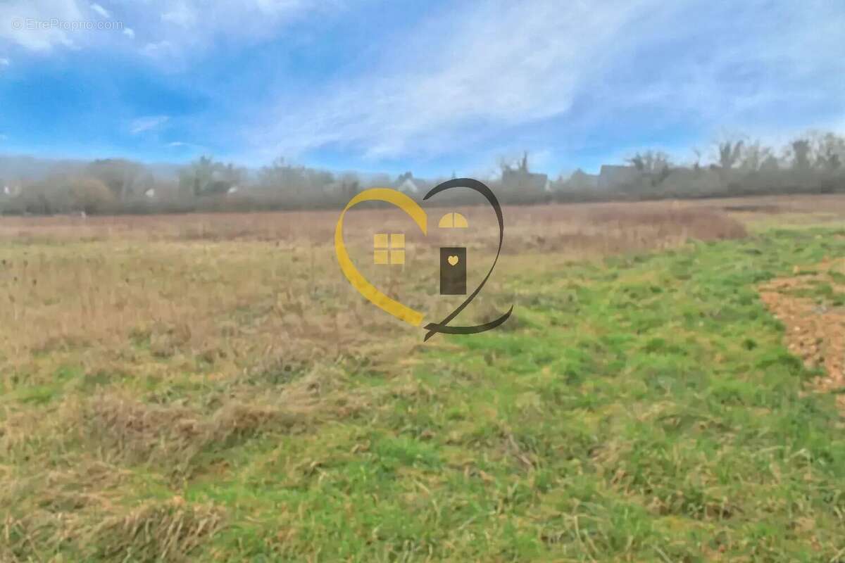 Terrain à CHISSEAUX