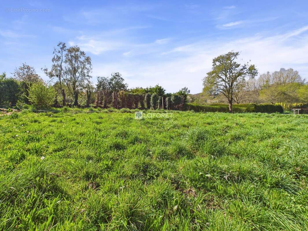 Terrain à SAINT-COULITZ