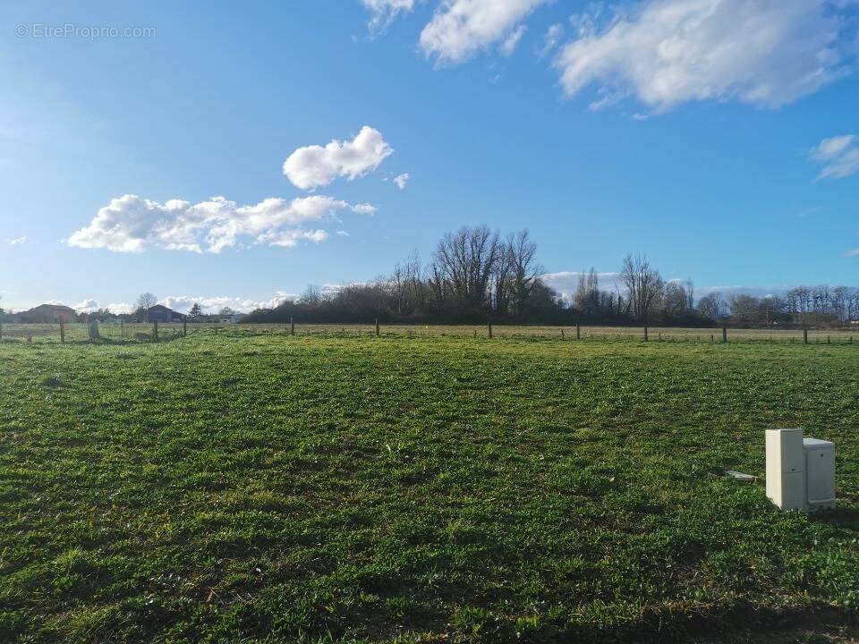 Terrain à MIOS