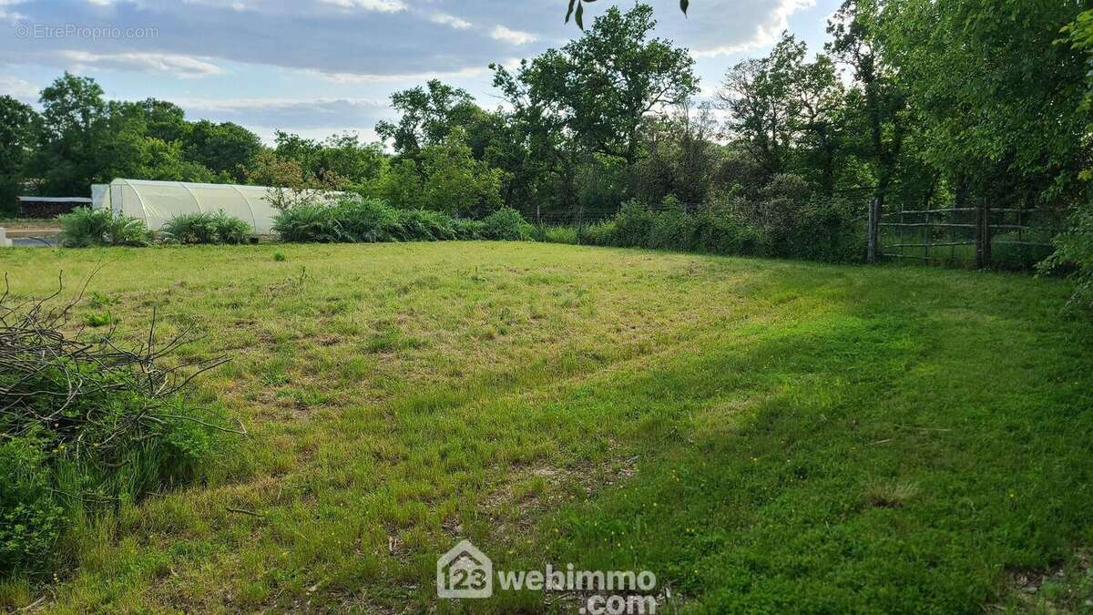 Vue axe nord - sud de la parcelle - Terrain à TALMONT-SAINT-HILAIRE