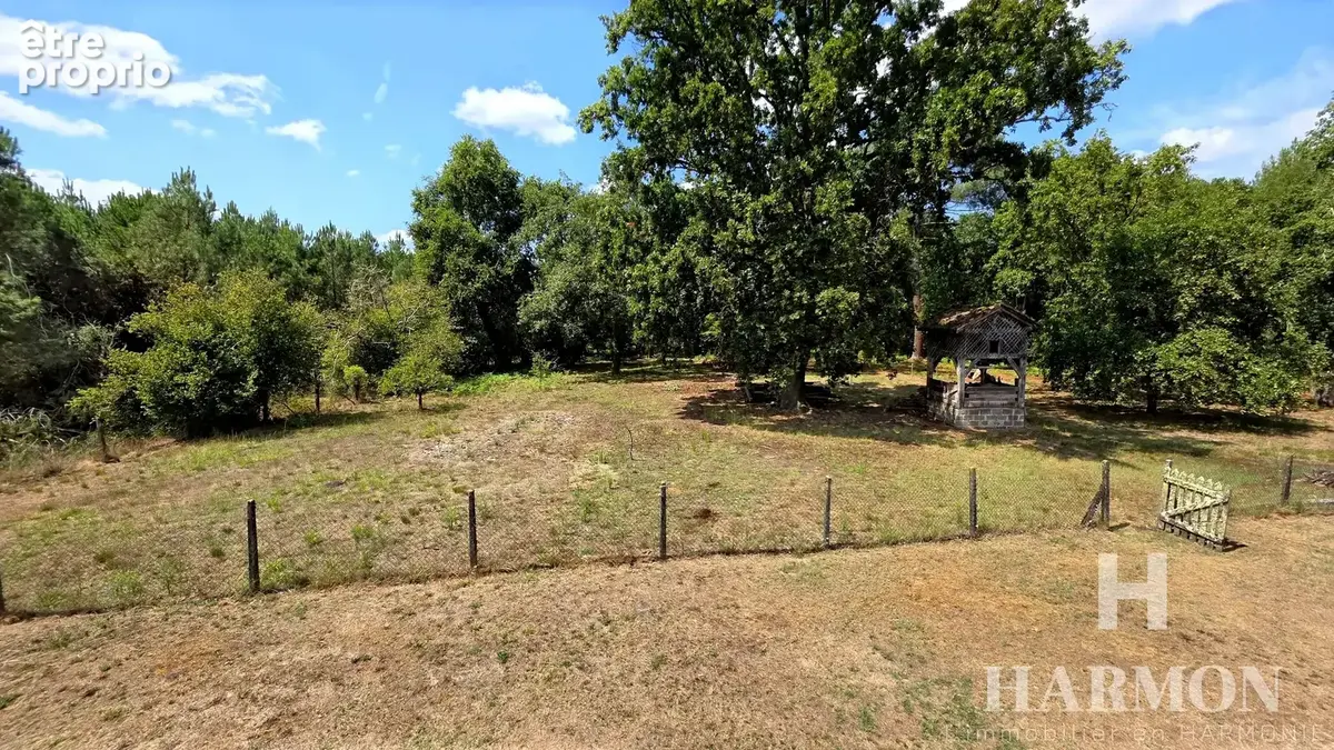 Maison landaise à colombages – Grand airial de plus de 8 000 m² et nombreuses dépendances - photo 3