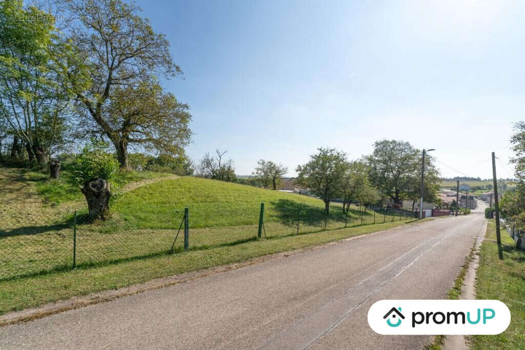 Terrain à VALHEY