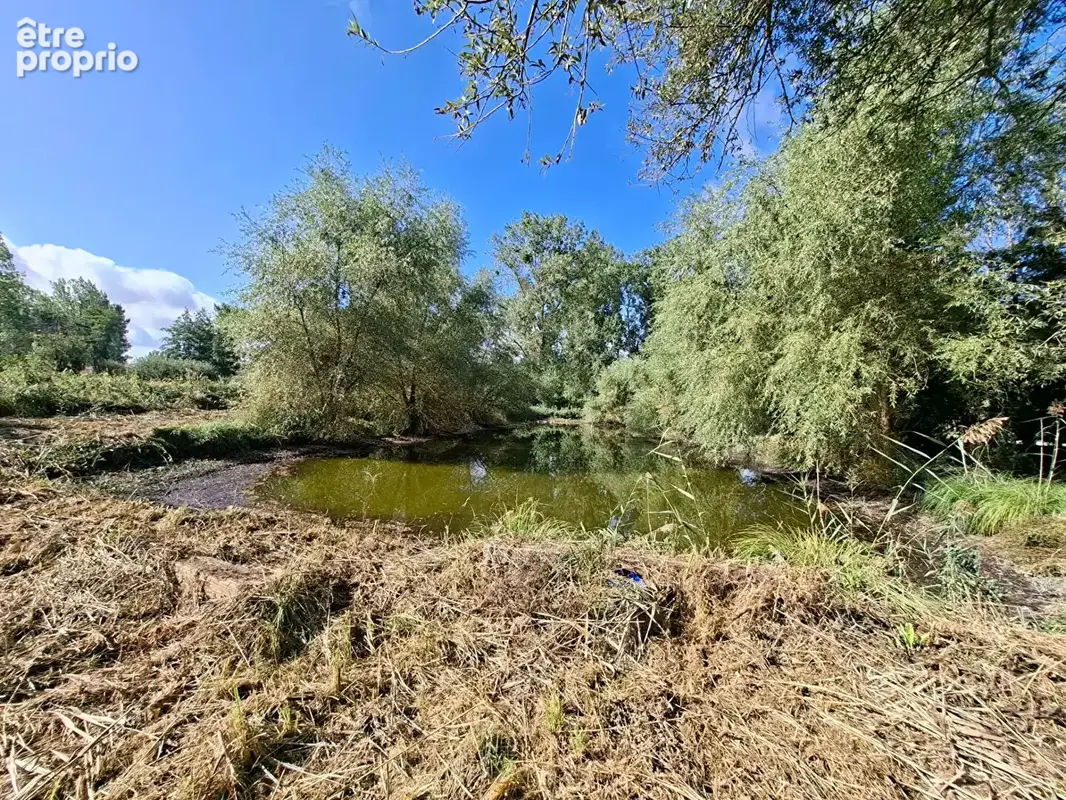 Etang Pierrepont 4872 m2 - photo 3