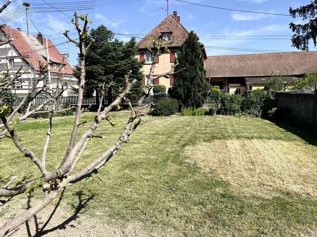Maison à OSTHEIM