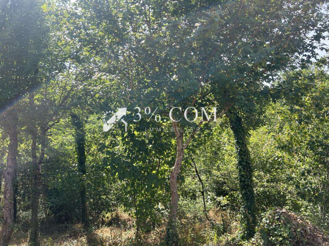 3%. com immobilier à bonnes - photo 16