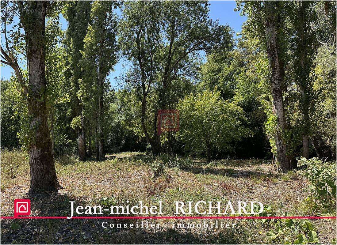 Terrain de loisirs SAULDRE Selles Sur Cher 6000 m2 - photo 5