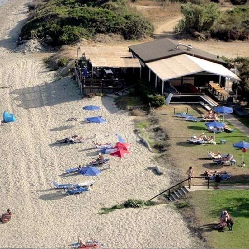 Commerce à CERVIONE