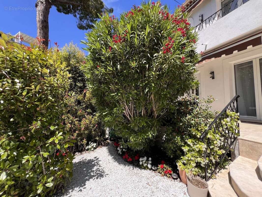 Maison à CANNES