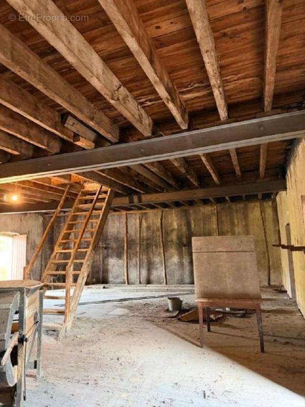 Cave 400 m² sur 2 etages avec toit terrasse - photo 18