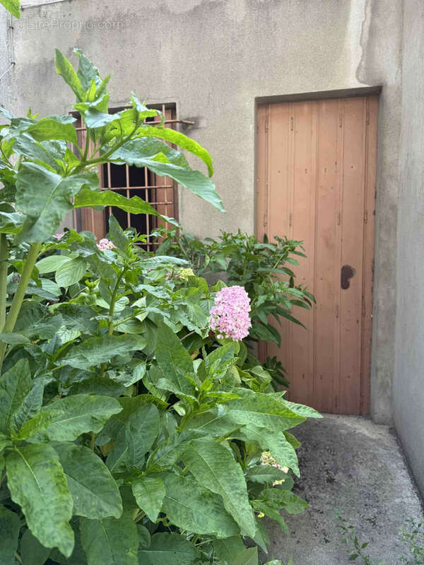 Maison à CARCASSONNE