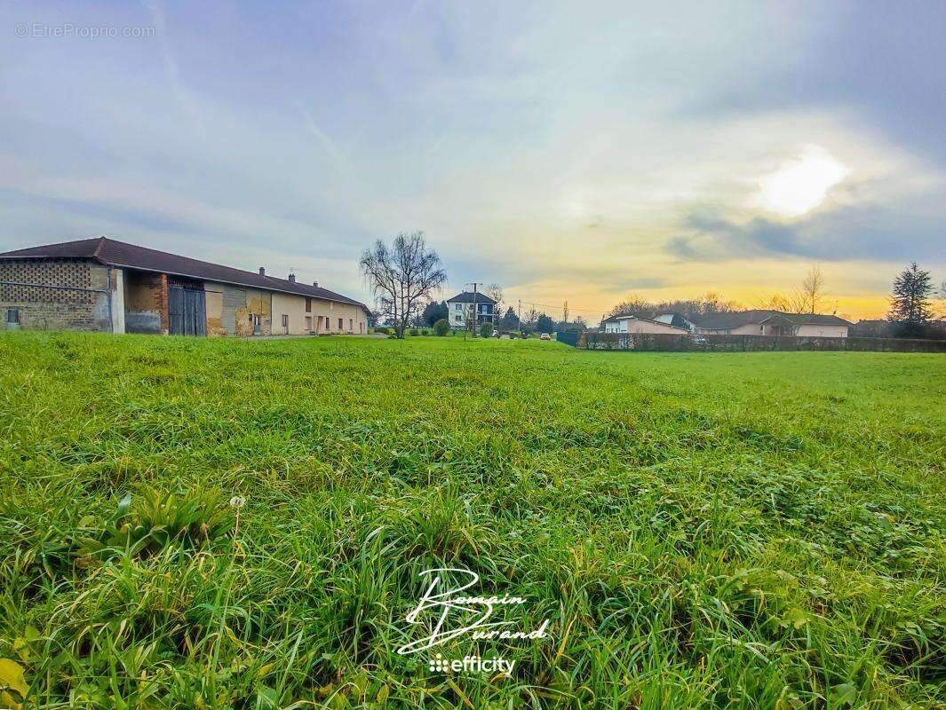 Terrain à SAINT-TRIVIER-DE-COURTES