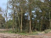 Terrain à SAINT-JEAN-DE-MONTS