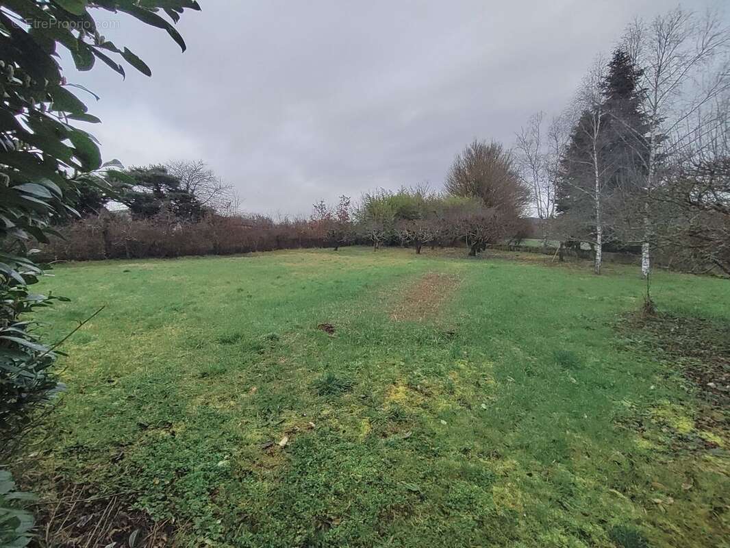 Terrain à CREUZIER-LE-VIEUX