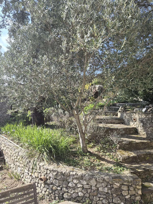 Maison à PLAN-DE-LA-TOUR