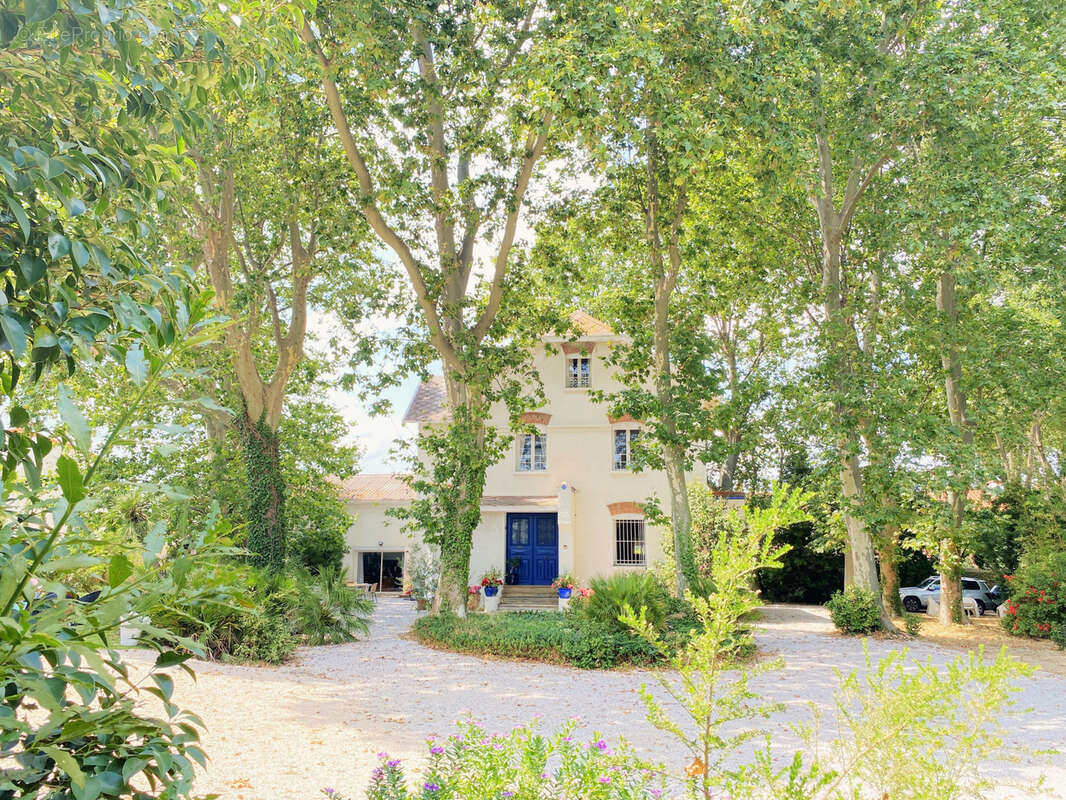Une maison de maitre avec maison d'amis sur 2580m2 de parc arbore, a 10 minutes de perpignan - photo 5