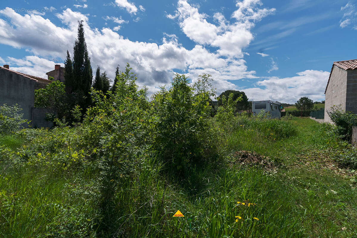 Terrain à CARCASSONNE