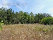 Terrain à CAMPS-LA-SOURCE