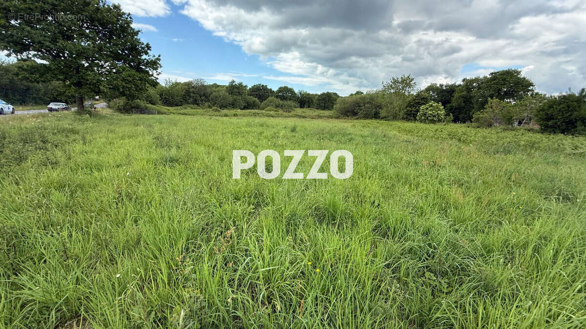 Terrain à JULLOUVILLE