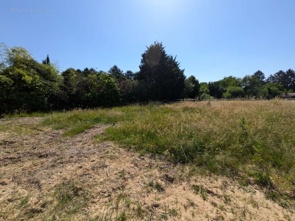 Terrain à TRAMOYES