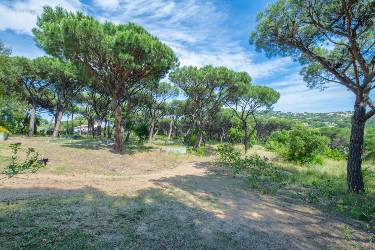 Appartement à SAINTE-MAXIME