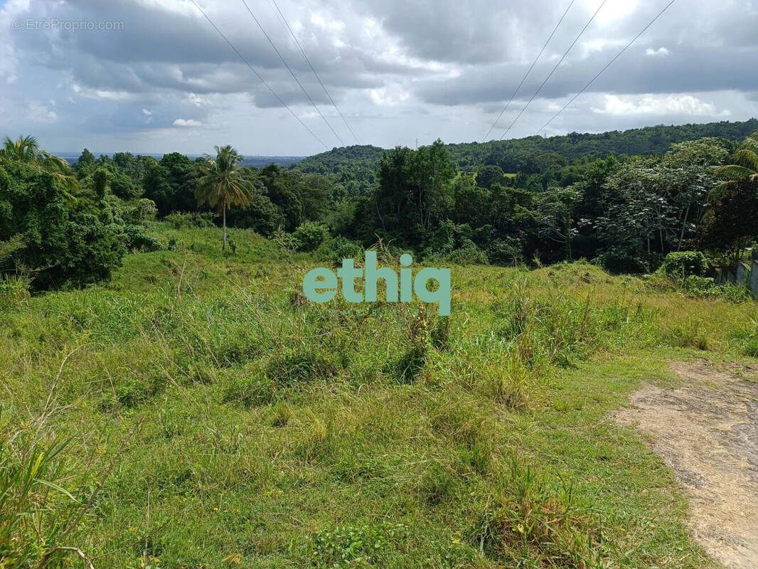 Terrain à SAINTE-ROSE