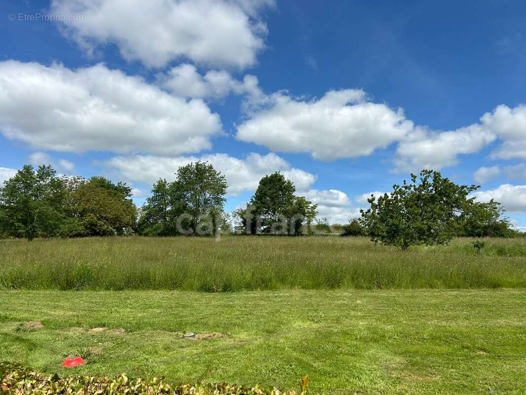 Maison de maitre à vendre 13 pièces LANOUAILLE (24) 2.6 hectares - photo 83