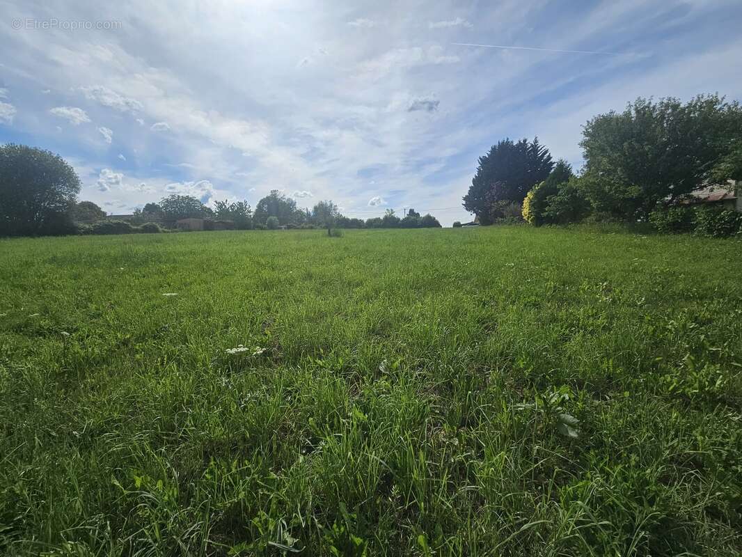Terrain 3527 m² à Linards  - photo 10