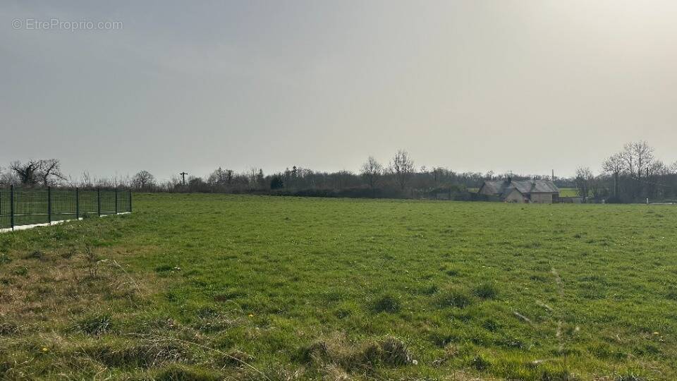 Terrain à LA MEAUFFE