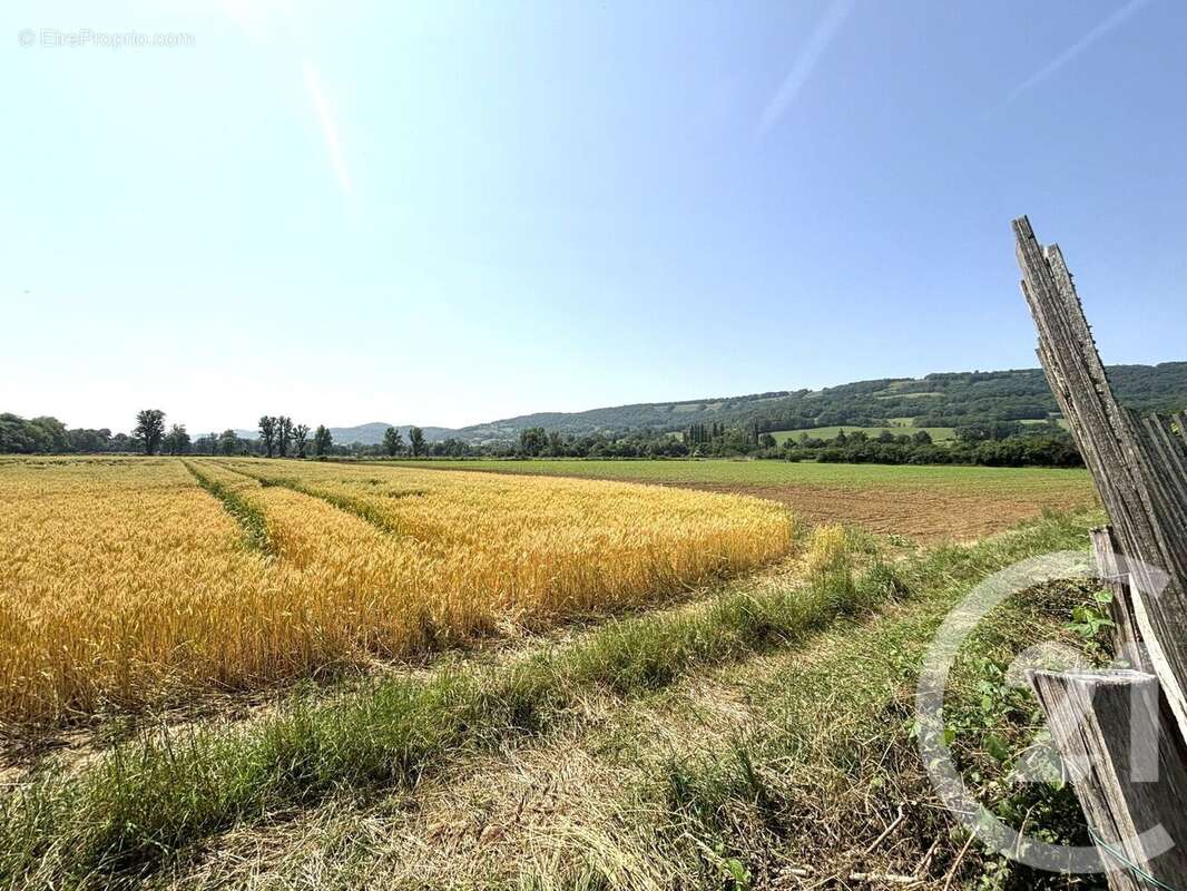 Maison à CAMPAGNE-SUR-ARIZE