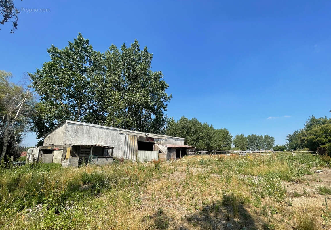 Hangar de stockage 250 m2 - photo 2