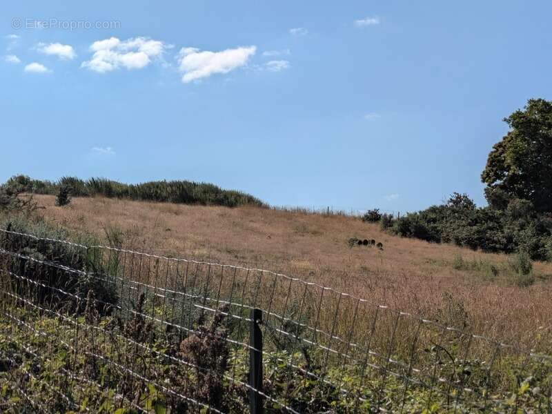 Séglien en campagne longère en pierre rénovée avec vie de plain pied de 243m², garage, atelier et dépendance parcelle de 7125m² - photo 26