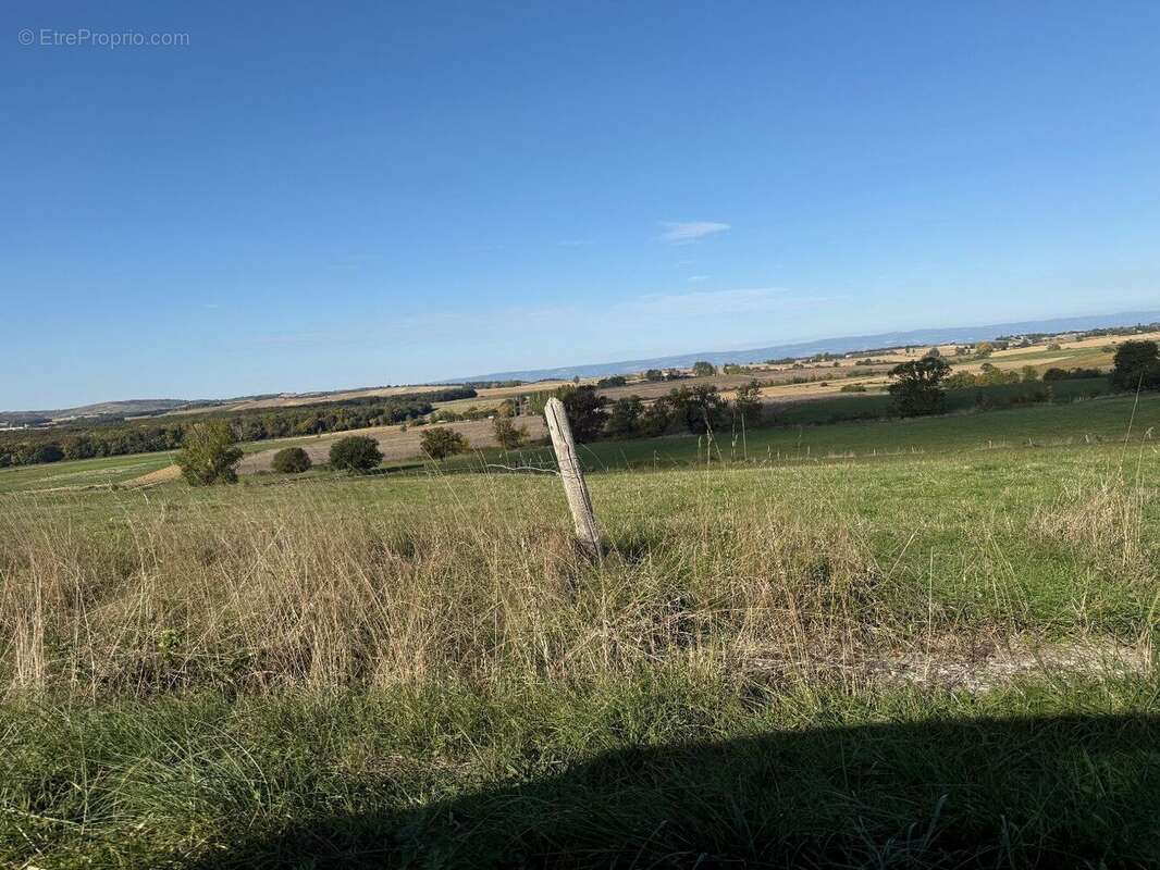 Propriété en pleine nature, avec 10 hectares, piscine et dépendances. - photo 18